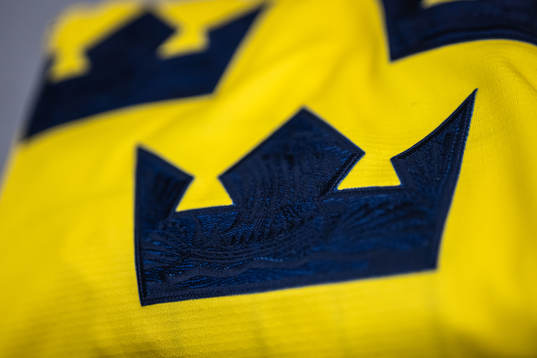 Details of the Swedish crowns of the march jersey of the