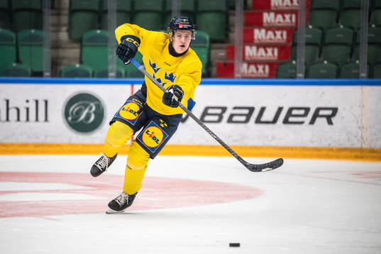 Elias Pettersson of the Swedish under-20 national ice