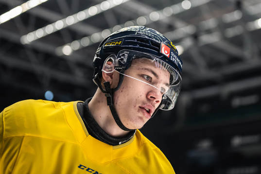 Anton Wahlberg of the Swedish under-20 national ice hockey