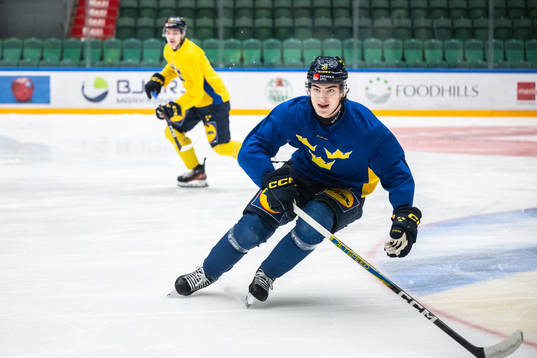 Liam Öhgren of the Swedish under-20 national ice hockey