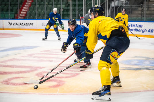 Tom Willander of the Swedish under-20 national ice hockey