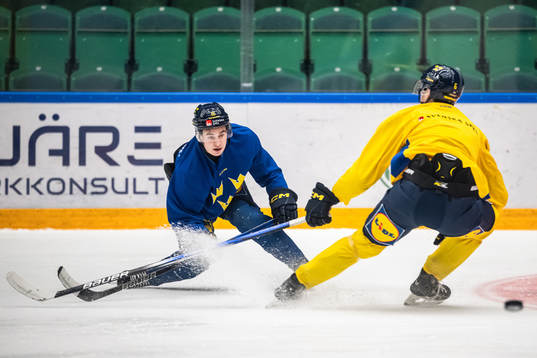 Felix Unger Sörum of the Swedish under-20 national ice