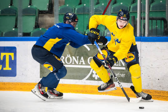 Anton Wahlberg of the Swedish under-20 national ice hockey