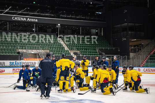 Players of the Swedish under-20 national ice hockey team