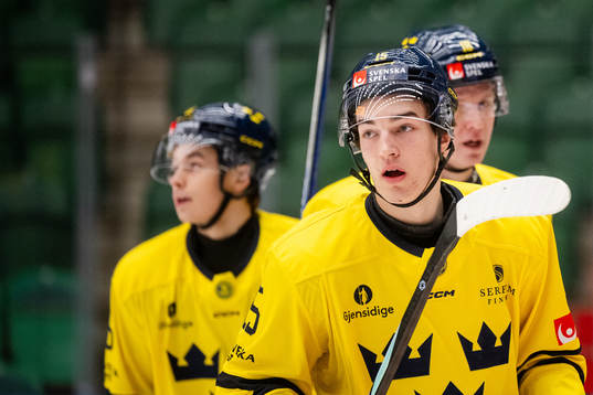 David Edstrom of Sweden celebrates the 1-0 goal