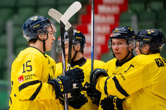 David Edstrom of Sweden celebrates the 1-0 goal