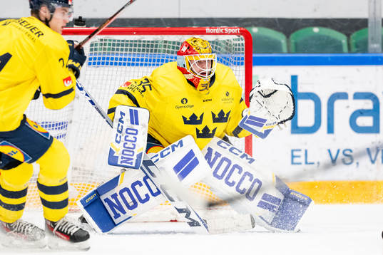 Goaltender Hugo Hävelid of Sweden