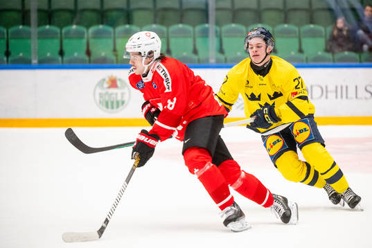 Rico Gredig of Switzerland and Oskar Pettersson of Sweden