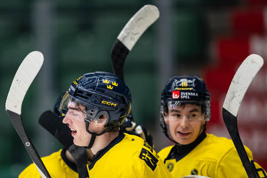 David Edstrom of Sweden celebrates the 2-0 goal