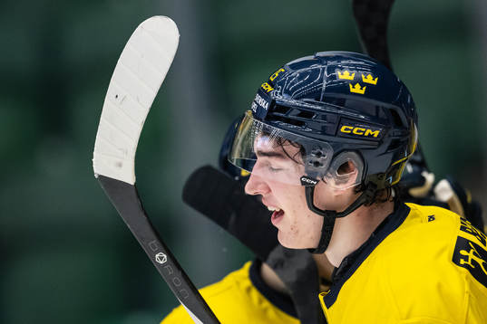 David Edstrom of Sweden celebrates the 2-0 goal