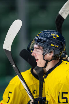 David Edstrom of Sweden celebrates the 2-0 goal
