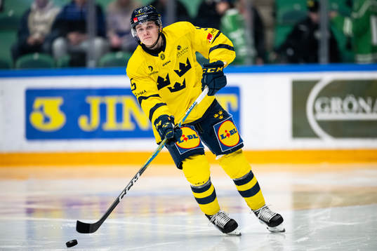 Mattias Hävelid of Sweden