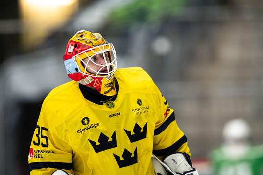 Goaltender Hugo Hävelid of Sweden