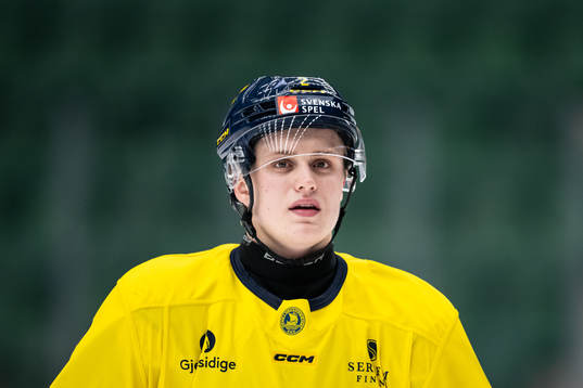 Elias Pettersson of Sweden