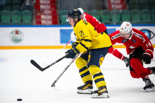Zeb Forsfjäll of Sweden and Louis Fullermann of Switzerland