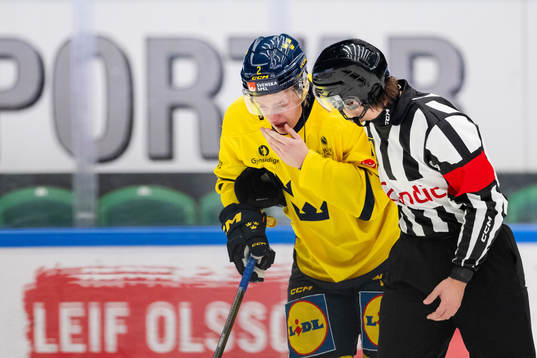 Elias Pettersson of Sweden in pain