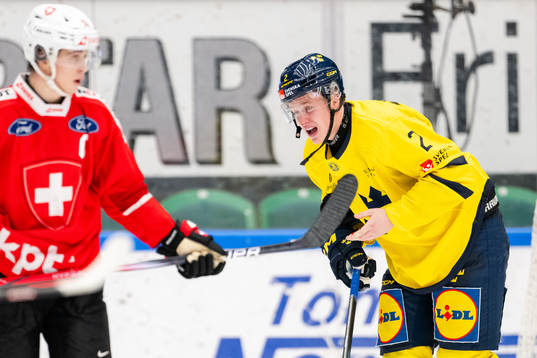Elias Pettersson of Sweden in pain