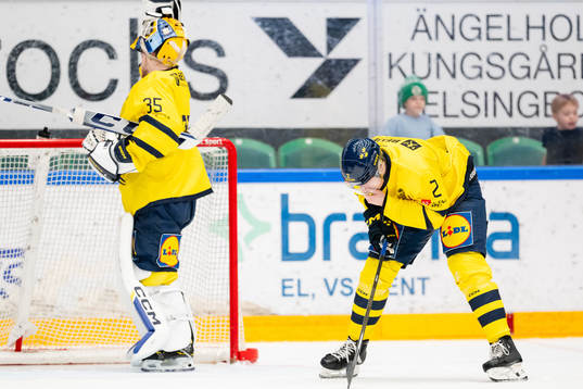 Elias Pettersson of Sweden in pain