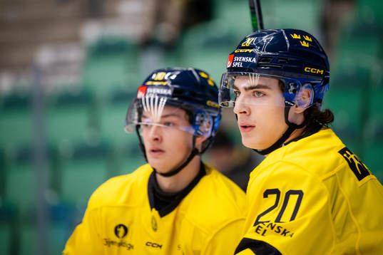 Fabian Wagner and Liam Öhgren of Sweden celebrate the 5-2
