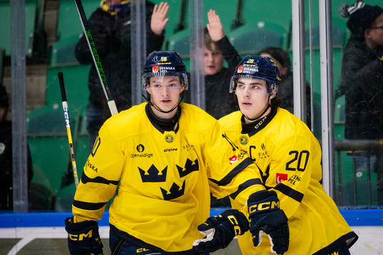 Fabian Wagner and Liam Öhgren of Sweden celebrate the 5-2