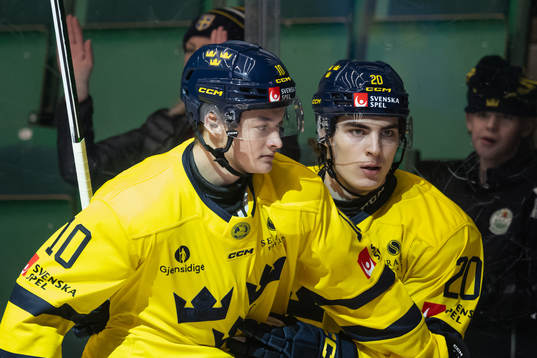 Fabian Wagner and Liam Öhgren of Sweden celebrates the 5-2