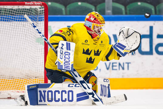 Goaltender Hugo Hävelid of Sweden