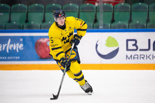Mattias Hävelid of Sweden