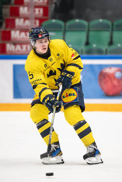 Mattias Hävelid of Sweden