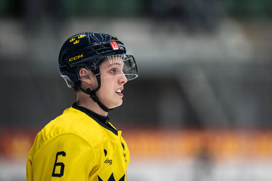 Anton Johansson of Sweden