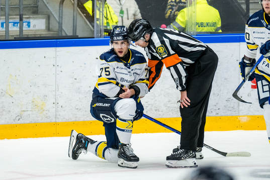 HV71s Radan Lenc har ont