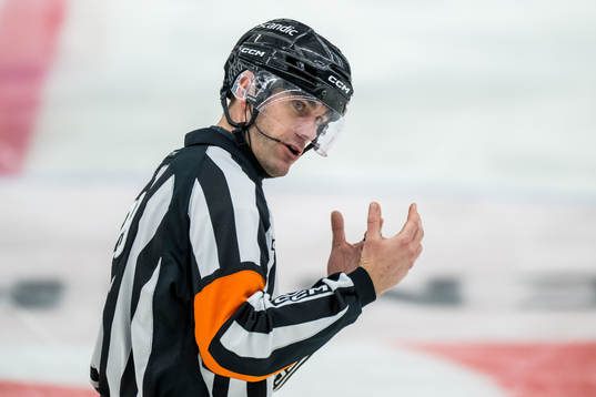 Domare Johan Magnusson