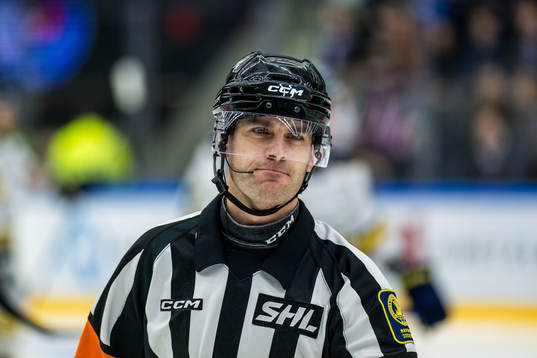 Domare Richard Magnusson