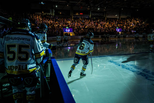 HV71s Anton Strålman