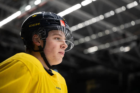 Mattias Hävelid of the Swedish under-20 national ice