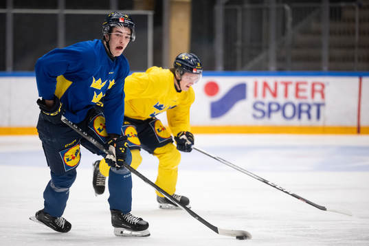 David Edstrom of the Swedish under-20 national ice hockey