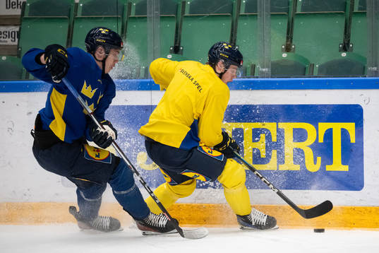 Anton Wahlberg and Mattias Hävelid of the Swedish under-20