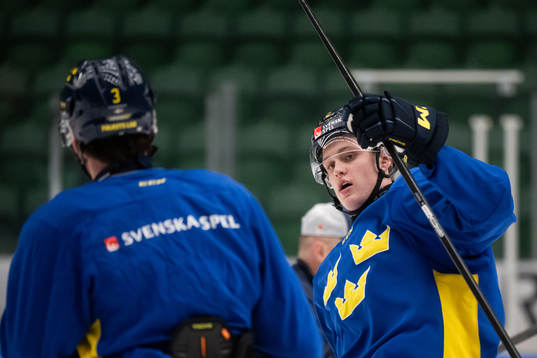 Elias Pettersson of the Swedish under-20 national ice