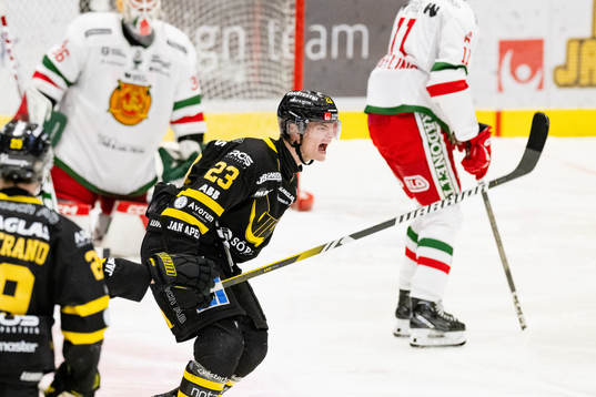Västerås Adam Hofbauer jublar