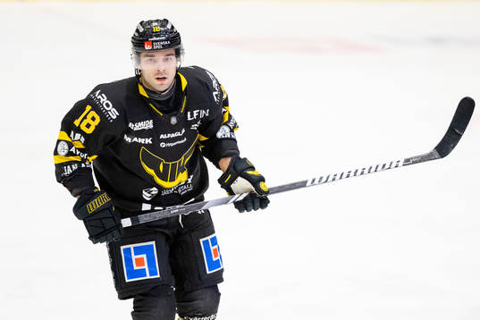 Västerås Shane Gersich