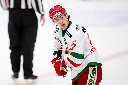 Moras Ludvig Levinsson deppar