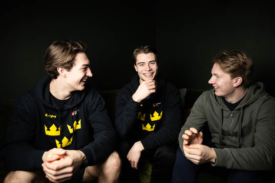 of the Swedish under-20 national ice hockey team poses for