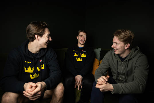 of the Swedish under-20 national ice hockey team poses for
