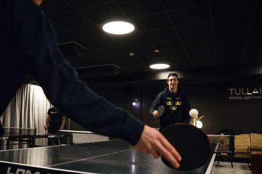 of the Swedish under-20 national ice hockey team poses for