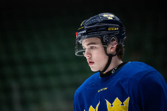 Axel Sandin-Pellikka of the Swedish under-20 national ice