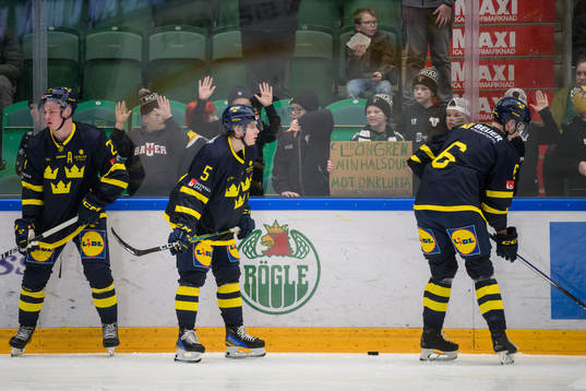 Young supporters of Sweden