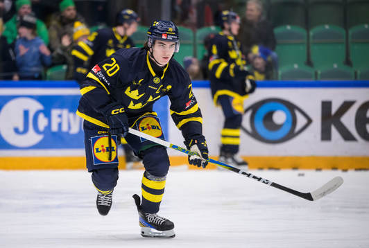Liam Öhgren of Sweden