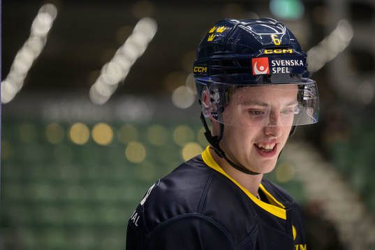 Anton Johansson of Sweden