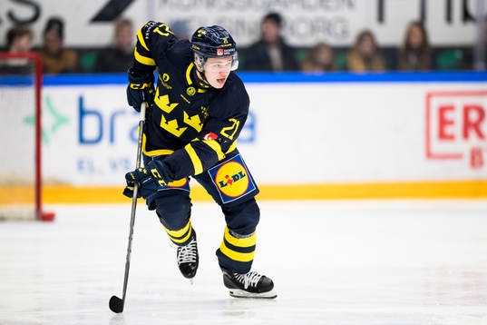 Zeb Forsfjäll of Sweden