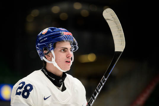 Zeev Buium of USA