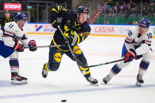 Oliver Moore and Carey Terrance of USA and Otto Stenberg of